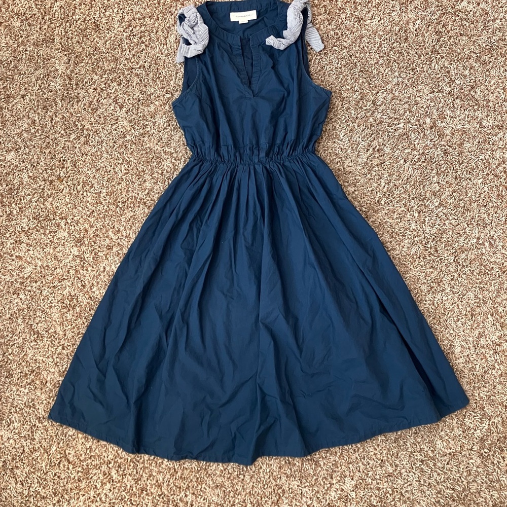 Anthropologie Blue Portrait of a Girl Midi Dress 100% cotton